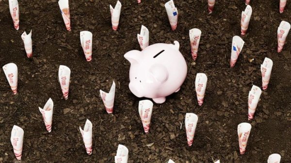 imtoken钱包的安全功能详解 2024年美国初创企业风投情况及有效投资策略的关键要素